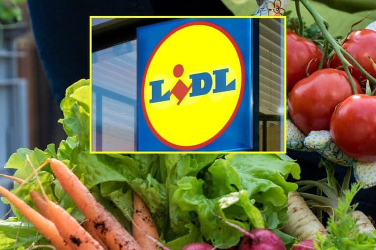 Produkty zgodne z dietą planetarną w Lidlu (fot. Lidl)
