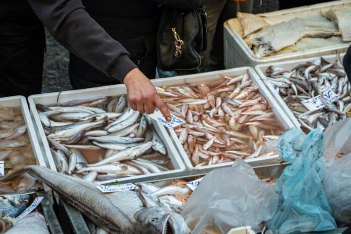 Czy wiesz, że to, co znajduje się na naszych talerzach, ma ogromny wpływ nie tylko na nasze zdrowie, ale także na środowisko? Nowe badania dowodzą, że żywność pochodząca z oceanów, rzek i jezior, czyli tzw. niebieska żywność, może być kluczem do rozwiązania wielu globalnych problemów.